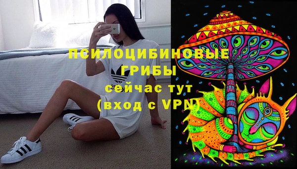 прущая мука Няндома