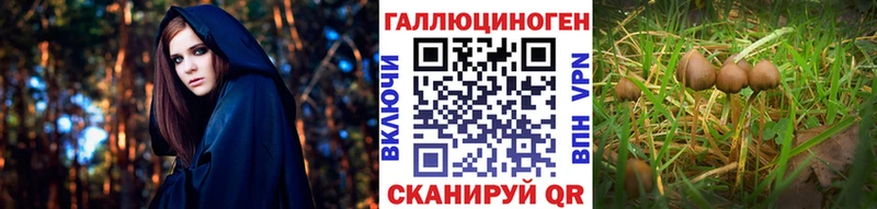 Галлюциногенные грибы Magic Shrooms  Пенза 
